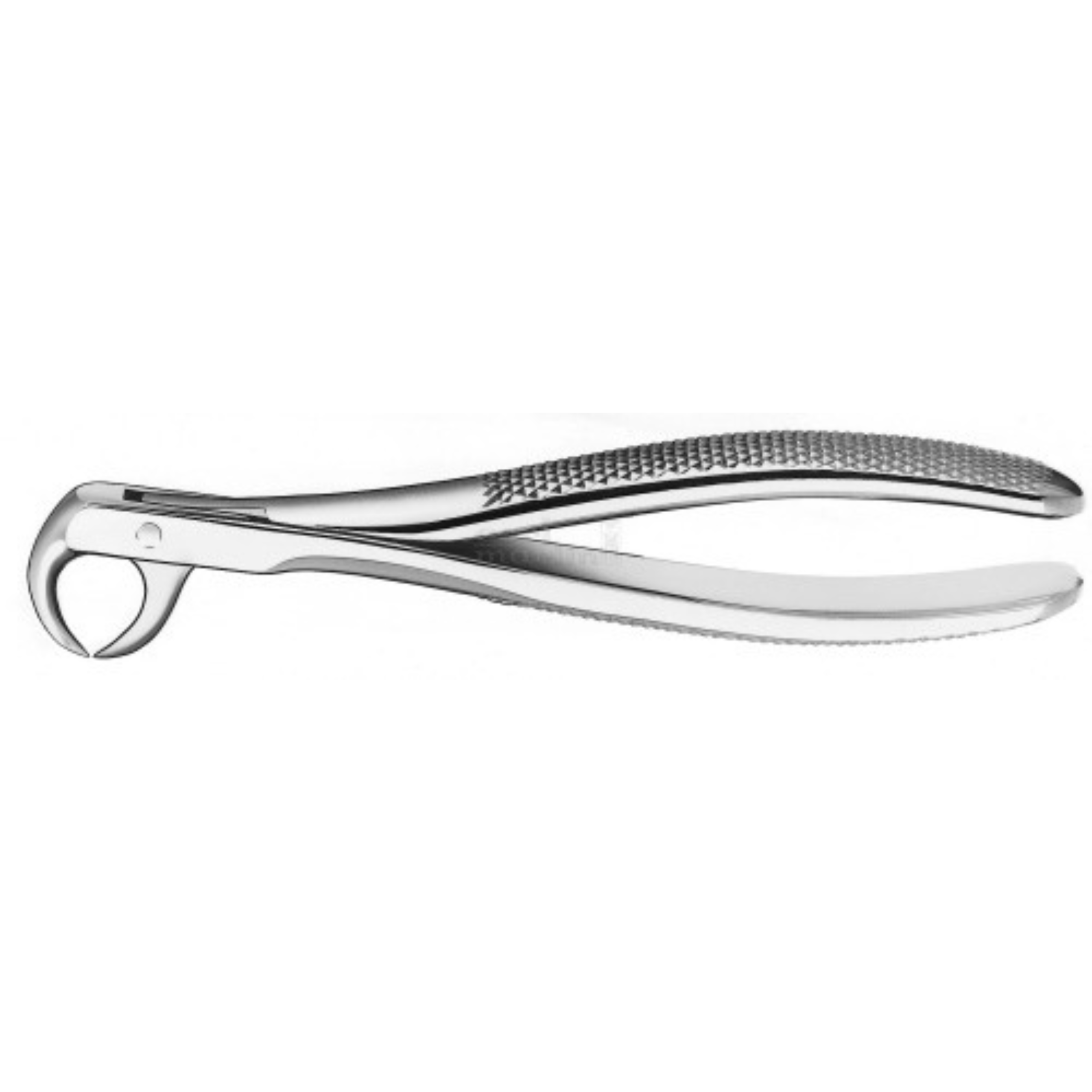 FORCEPS #M86C CARL MARTIN